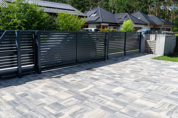 Best Local Driveway Pavers  in Hidalgo, TX
