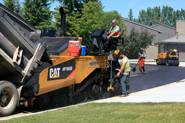 Best Driveway Repair Near Me  in Hidalgo, TX